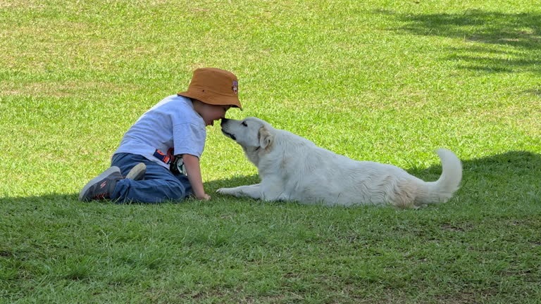 Cleveland Homeowners Love Fake Grass for Dogs